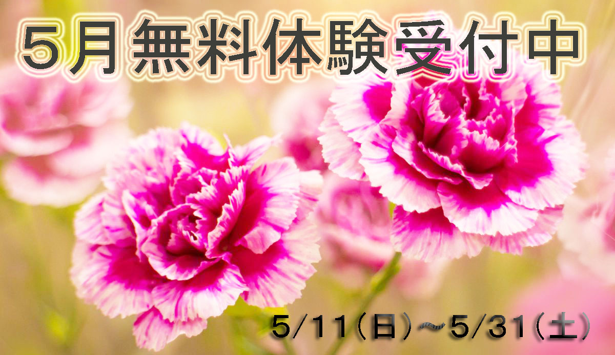 画像の説明