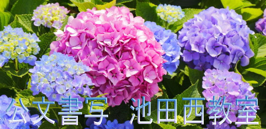 画像の説明