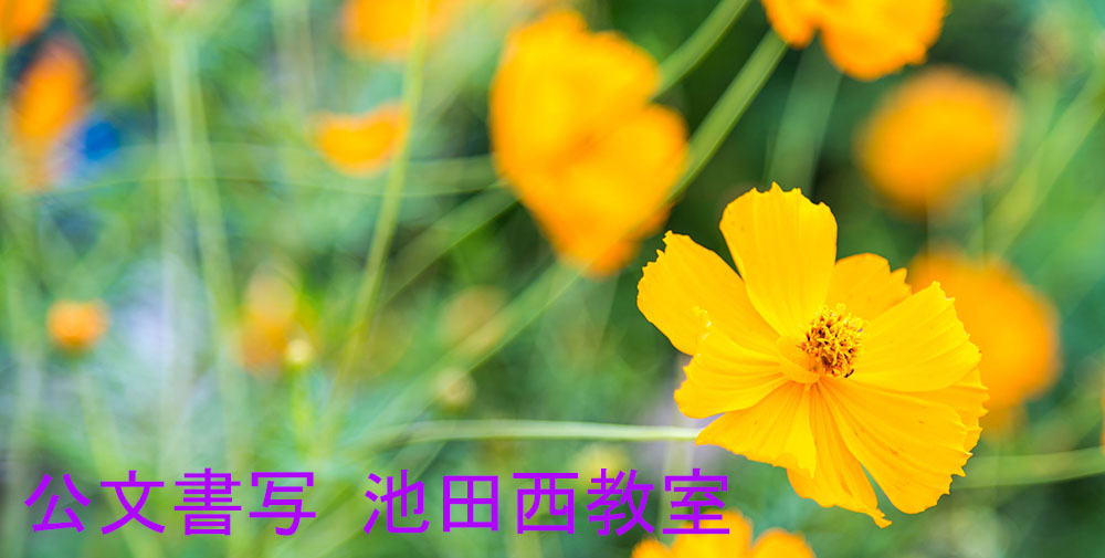画像の説明