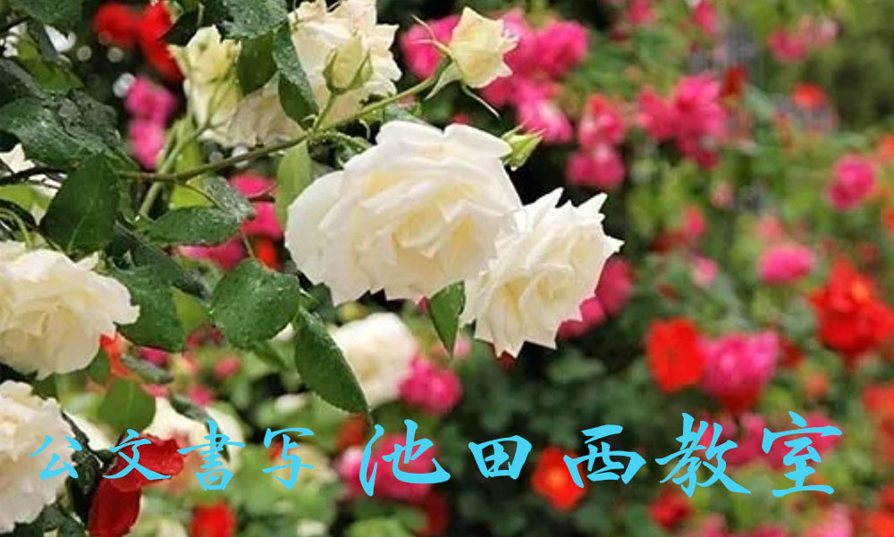画像の説明