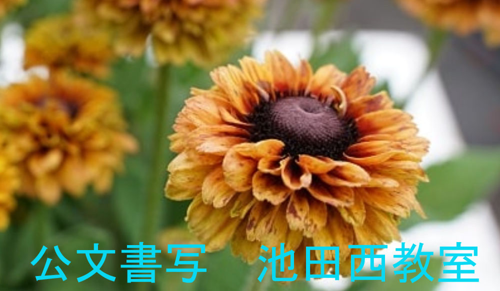 画像の説明