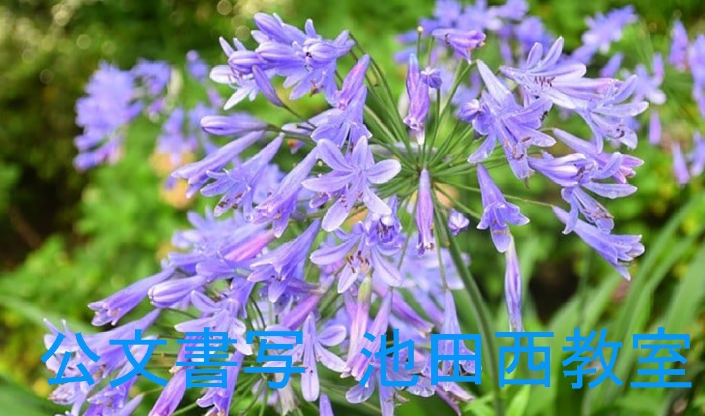 画像の説明